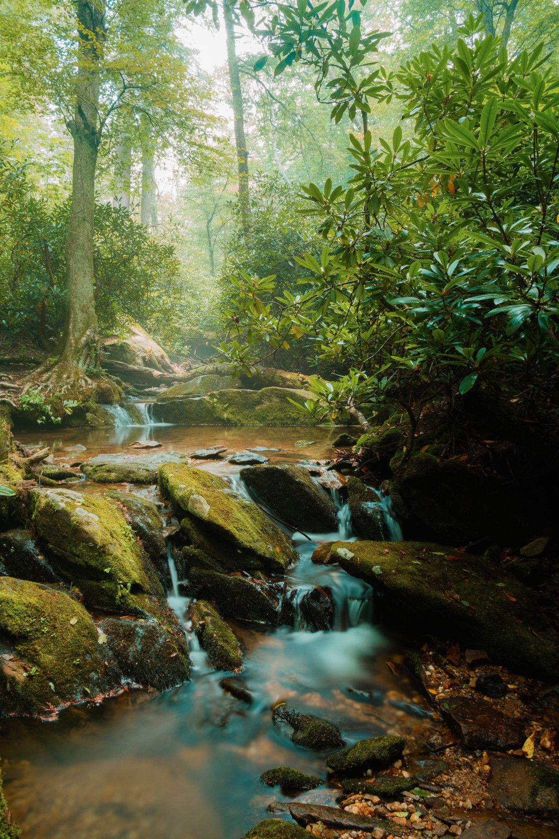 "Sims Creek" by Joseph Hawk - $59.26 "Sims Creek" stock image