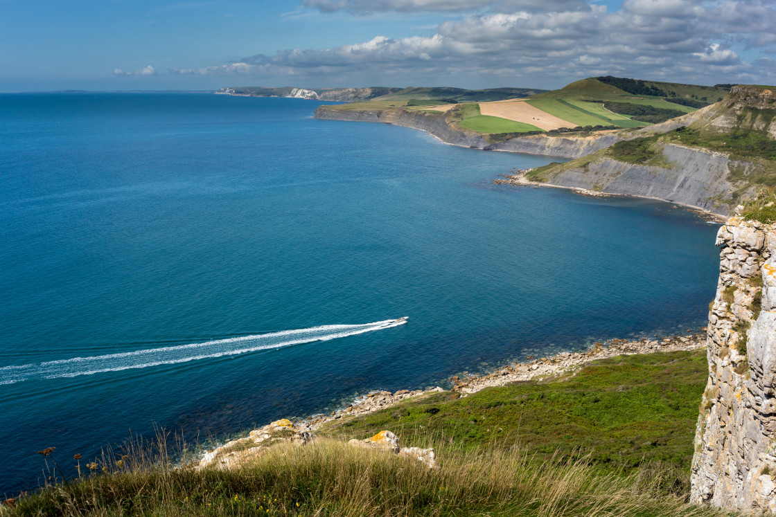 "Dorset Coast" stock image