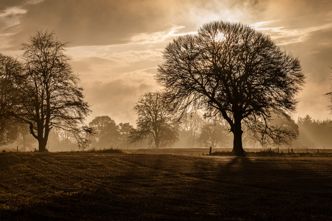 "Autumn Mist" stock image