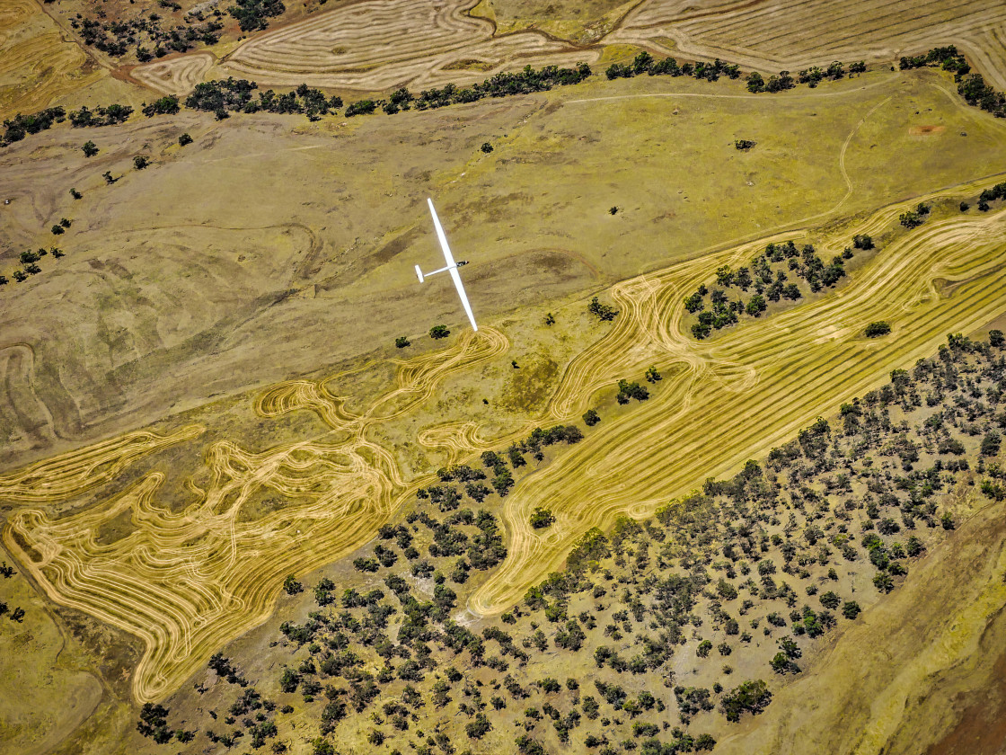 "Sailplane, Soaring above the Wheatbelt" stock image