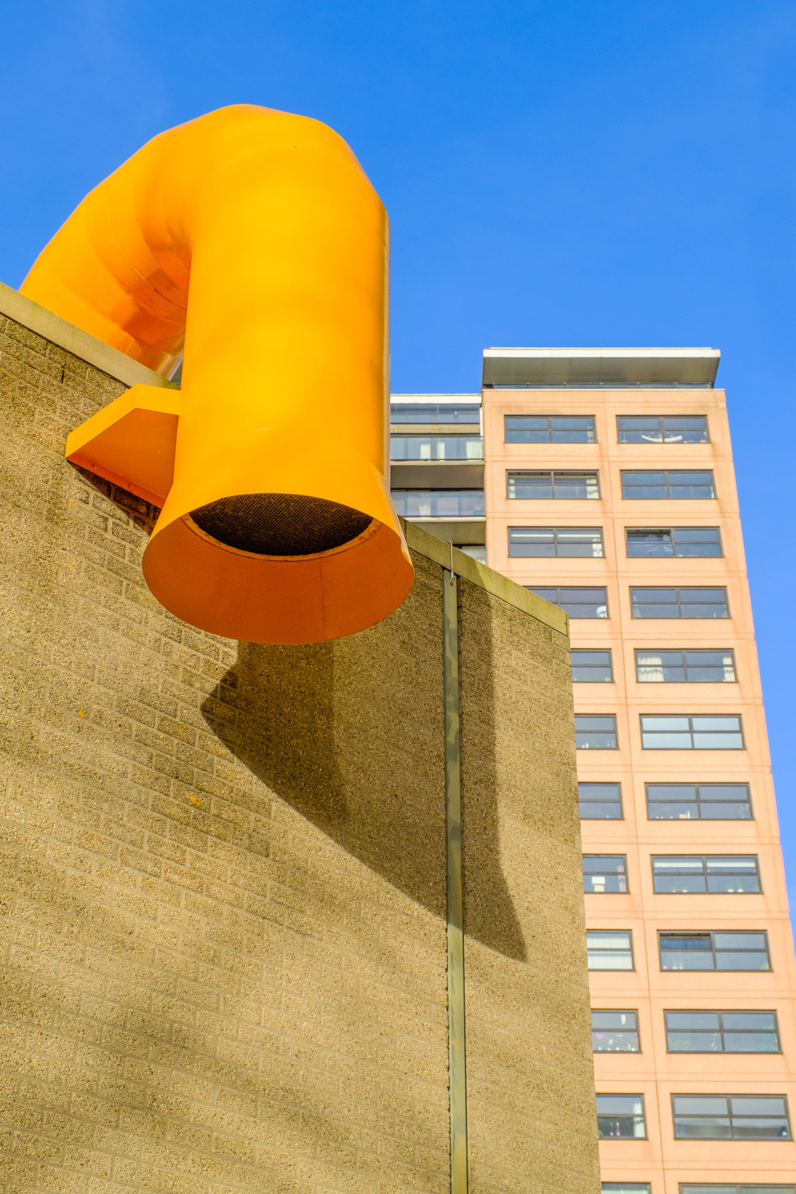 "Rijstuin" stock image