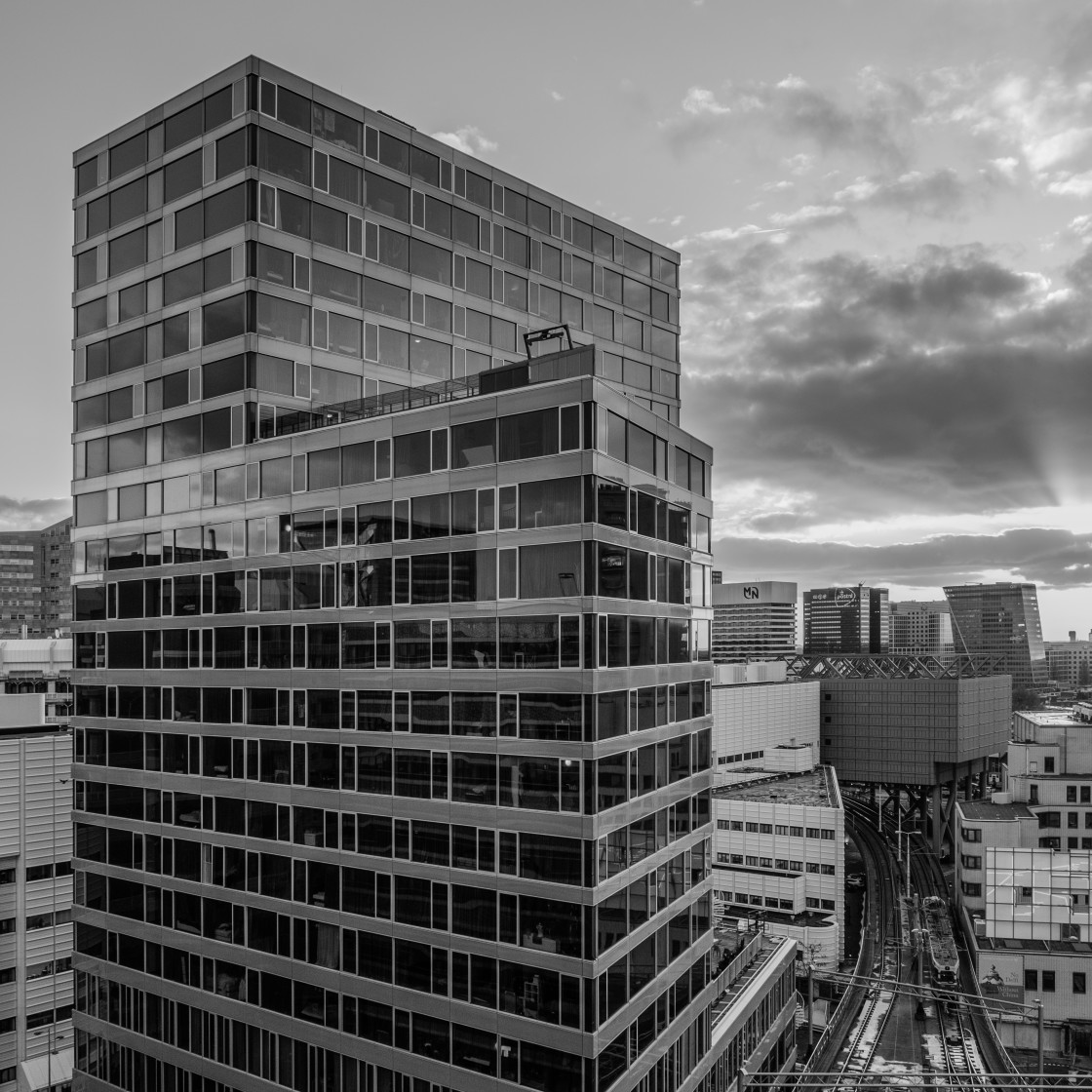 "Leiden University, The Hague" stock image