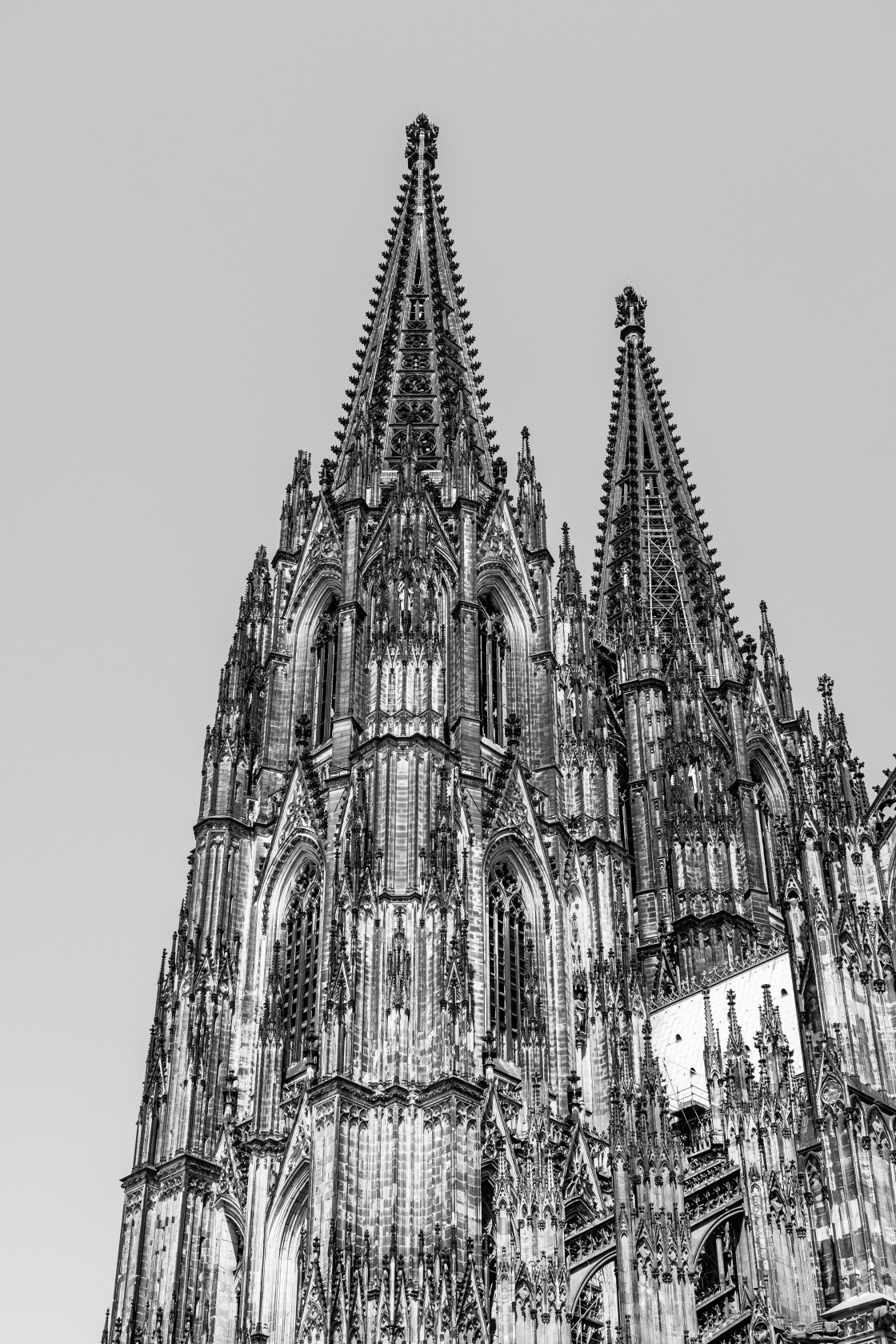 "Kölner Dom" stock image