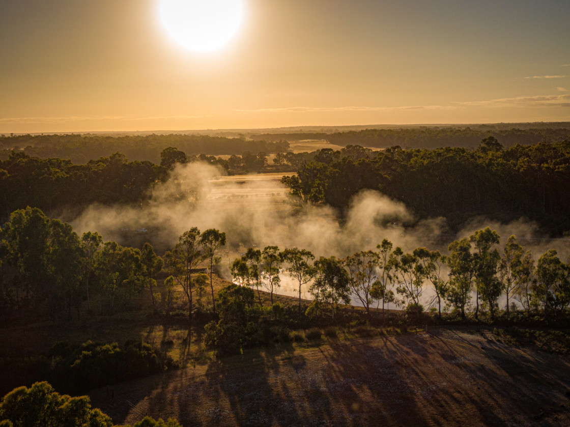 "Metricup Morning Mist" stock image