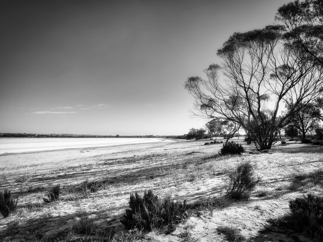 "Wheatbelt Salt Lake Shoreline" stock image