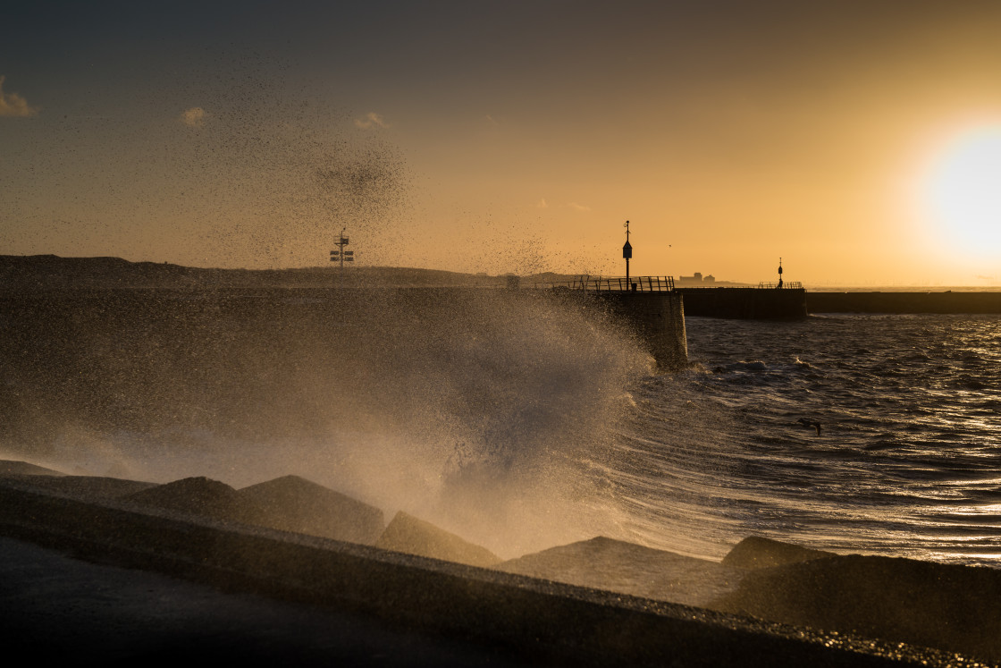 "Scheveningen Haven" stock image