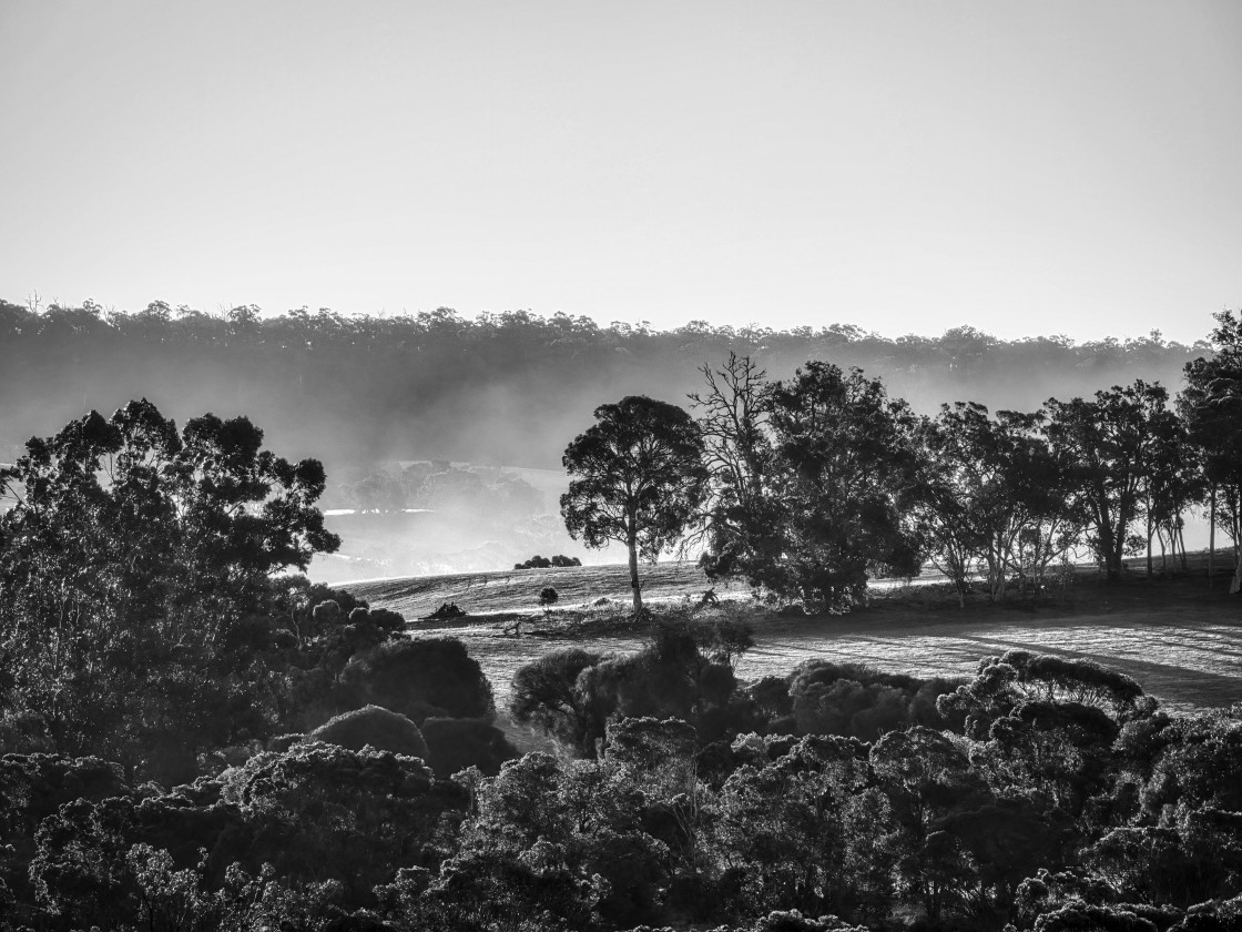 "Wheatbelt Farm Scene 3" stock image