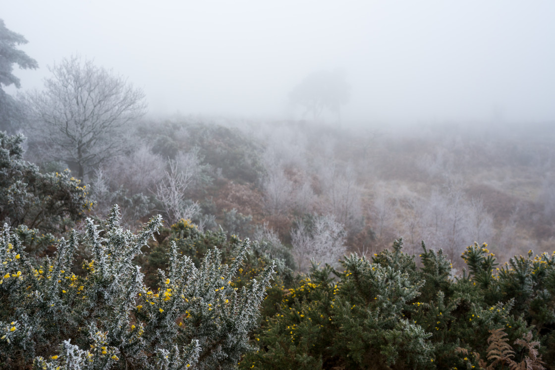 "Wintery Caesar's Camp" stock image