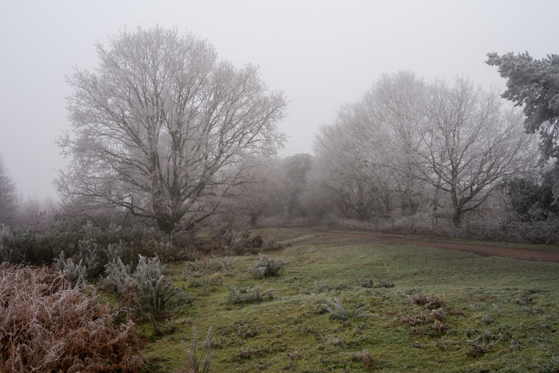 "Caesar's Camp Freezing Fog" stock image