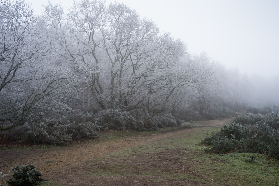 "Freezing Fog" stock image