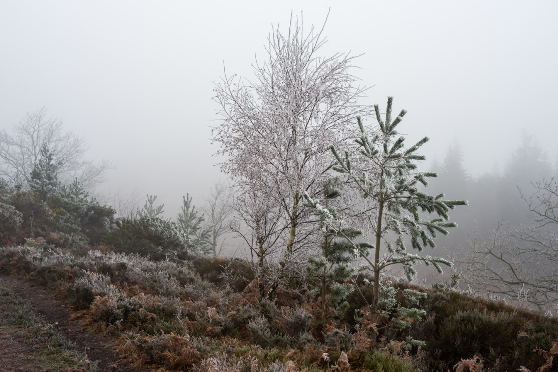 "Freezing Fog" stock image