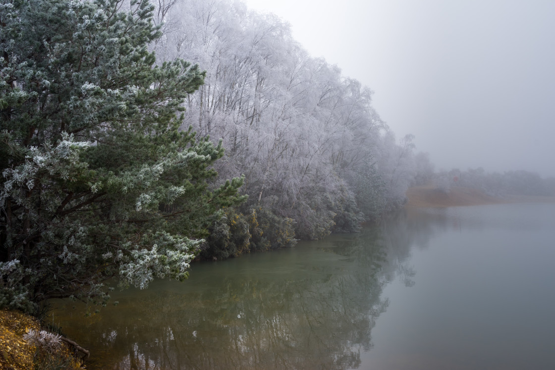 "Frosty Lakeside" stock image