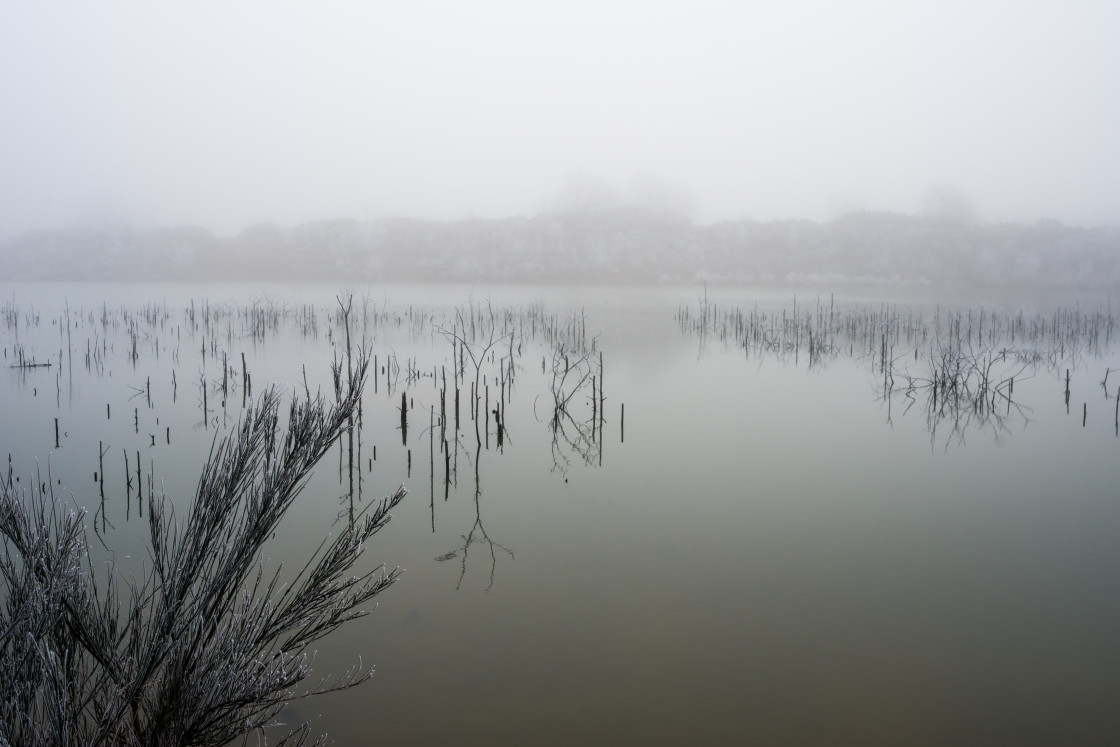 "Lake Shrouded in Fog" stock image