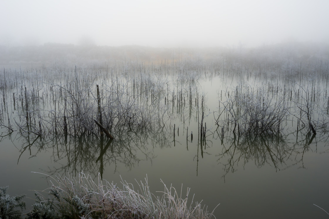 "Lake Shrouded in Fog" stock image