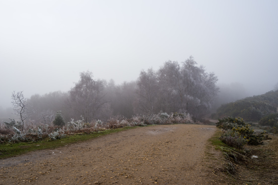 "Wintery Caesar's Camp" stock image