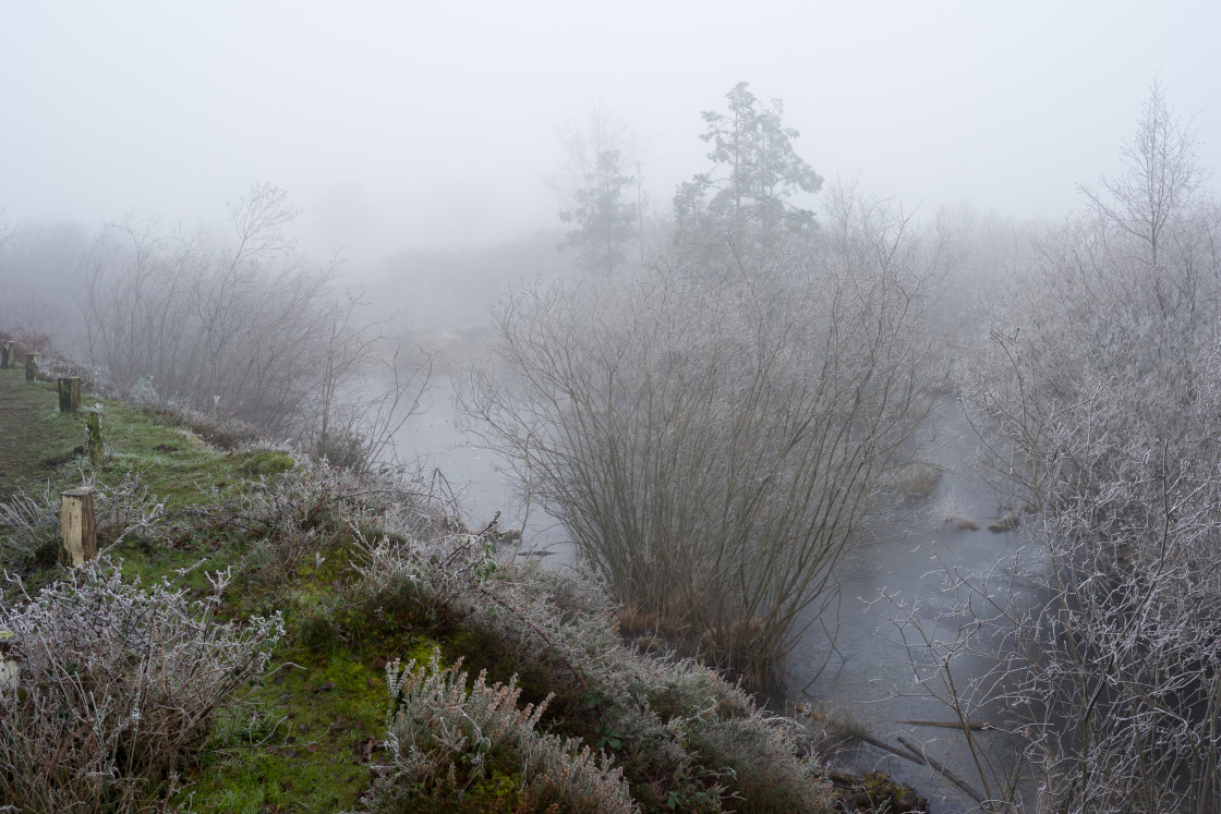 "Frozen Waterhole" stock image