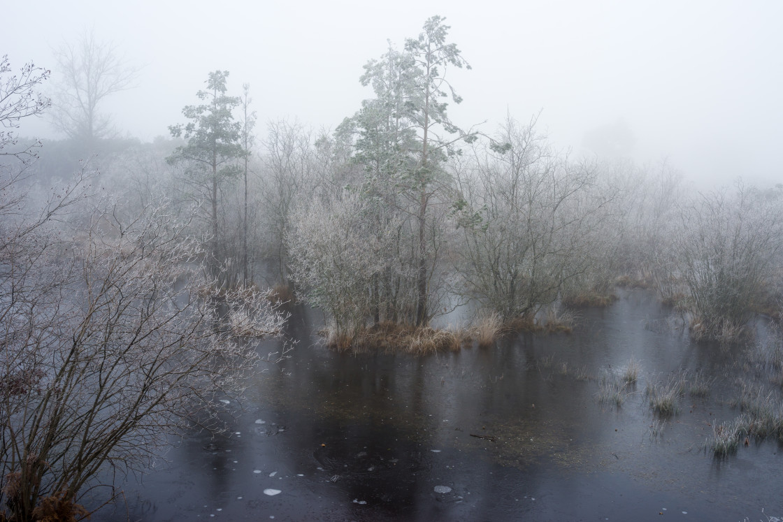 "Frozen Waterhole" stock image