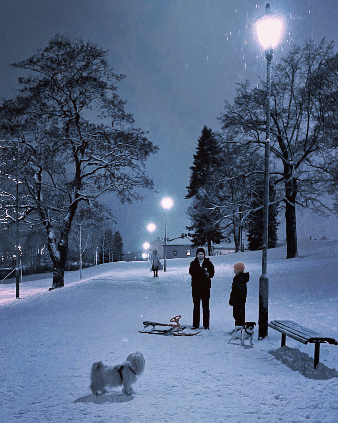 "Winter evening" stock image