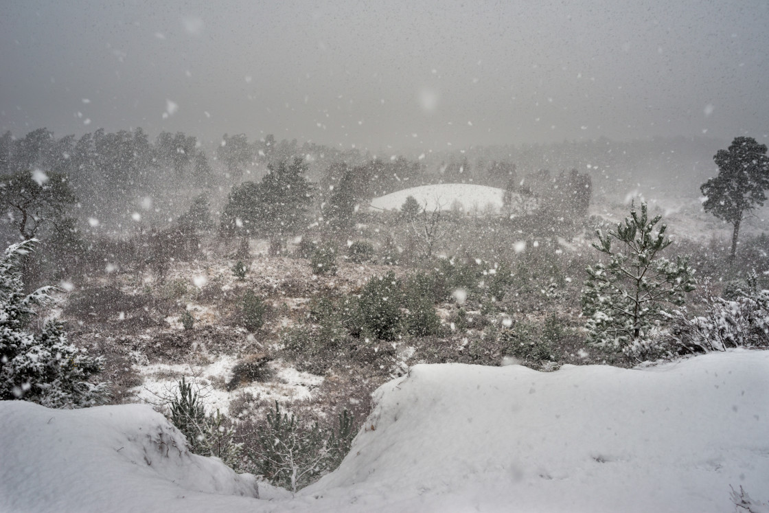 "Snow Storm" stock image