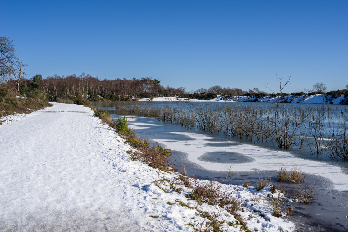 "Bright Winter Morning" stock image