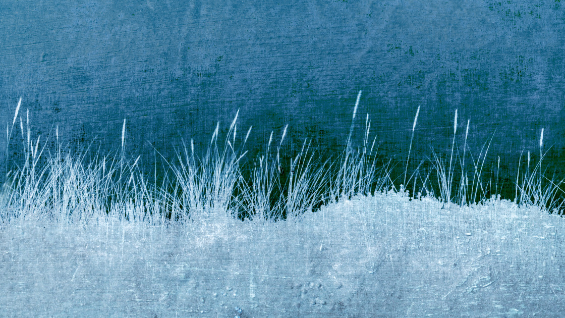 "Wild Grasses" by Lynne Blount - $30.41 "Wild Grasses" stock image