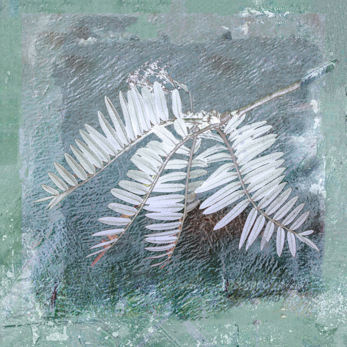 "Leaves" by Lynne Blount - £15.00 "Leaves" stock image