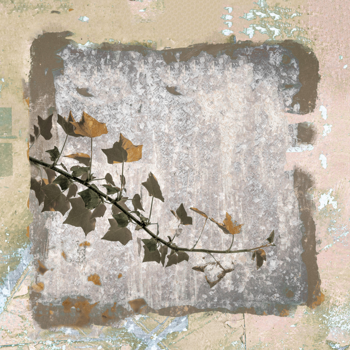 "Creeping Leaves" by Lynne Blount - £15.00 "Creeping Leaves" stock image