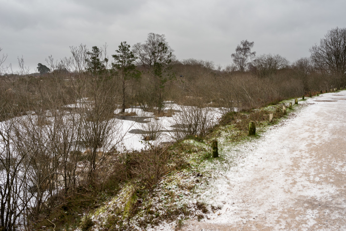 "Sub-zero Waterhole" stock image