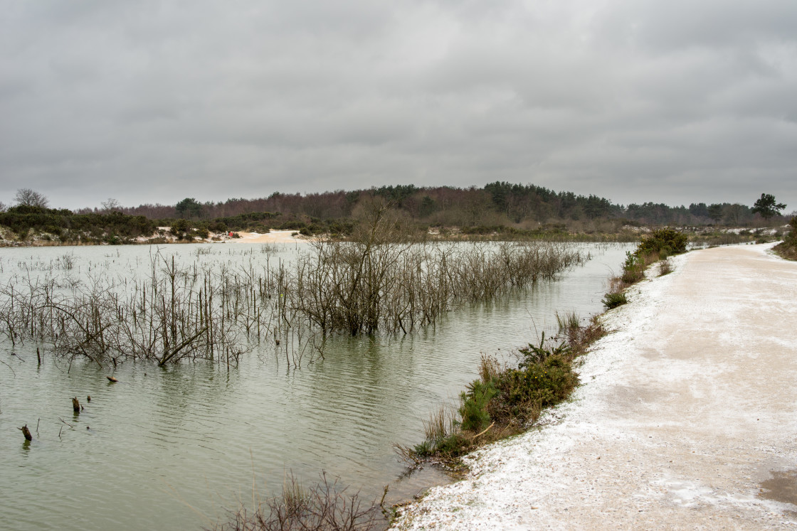 "Wintery Gravel Pit" stock image