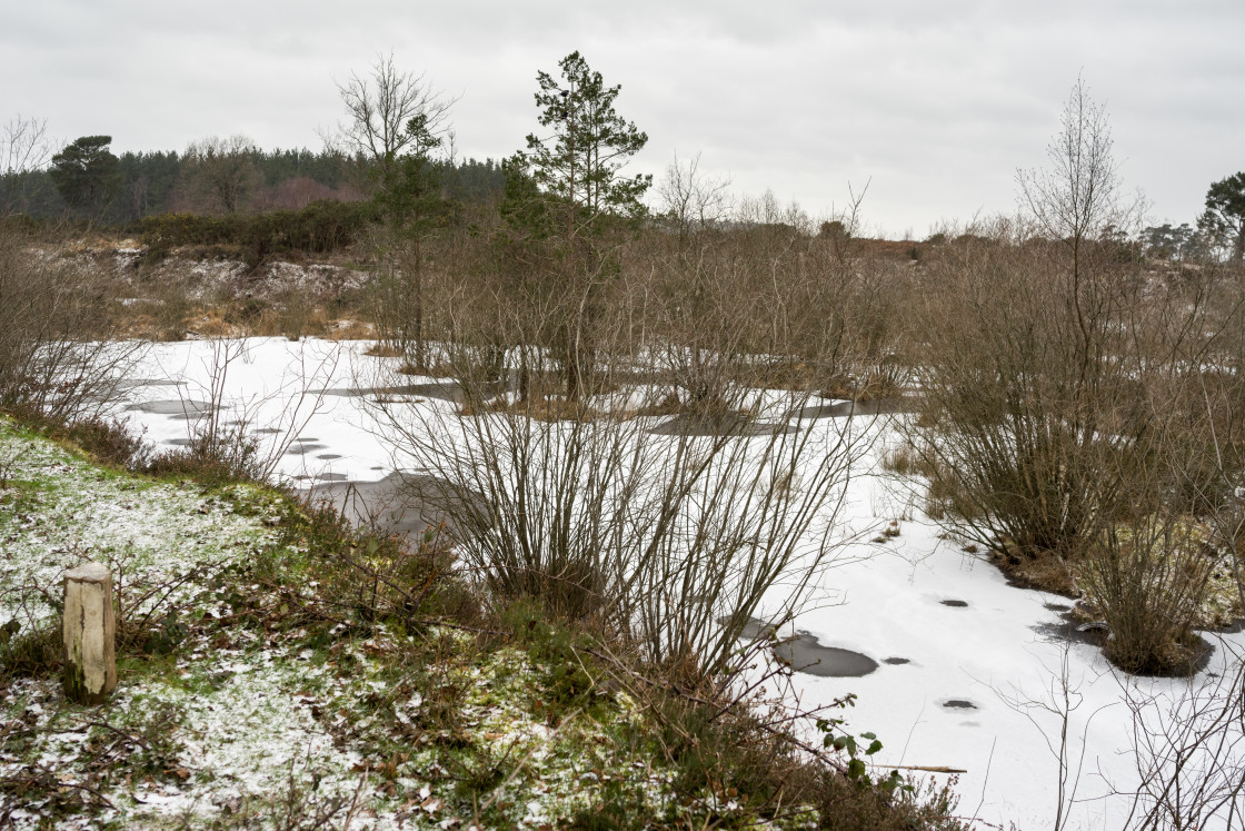 "Sub-zero Waterhole" stock image