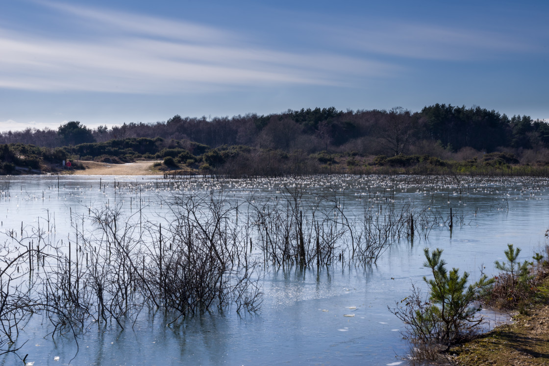 "Sparkly Frozen Lake" stock image