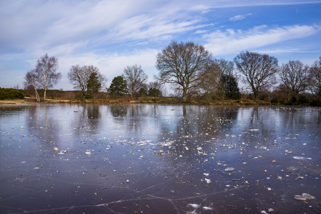 "Frozen Horse Swimming Pond" stock image