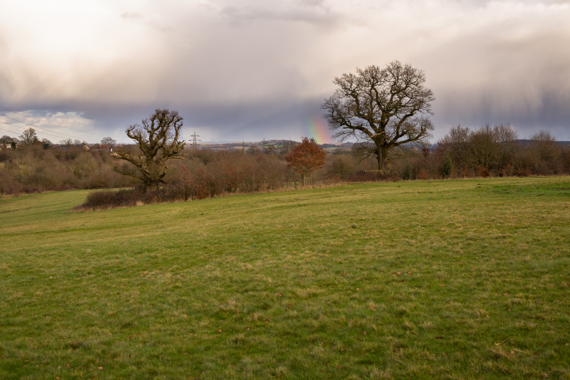 "Oaks Farnham Park" stock image