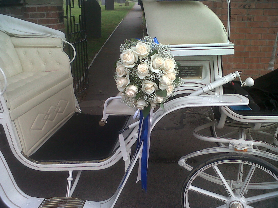 "White Roses and Blue Ribbons, Horse drawn Carriage, Summer 201" by Ann Tomlin Photography - £10.00 "White Roses and Blue Ribbons, Horse drawn Carriage, Summer 201" stock image