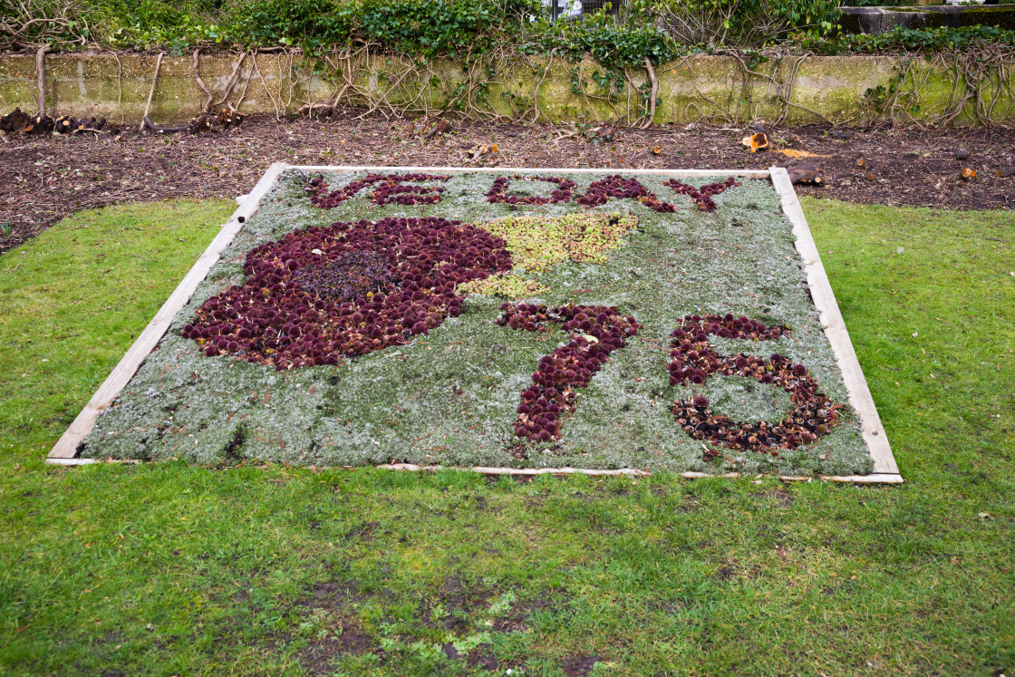 "VE Day 75 Commemorative Floral Display" stock image