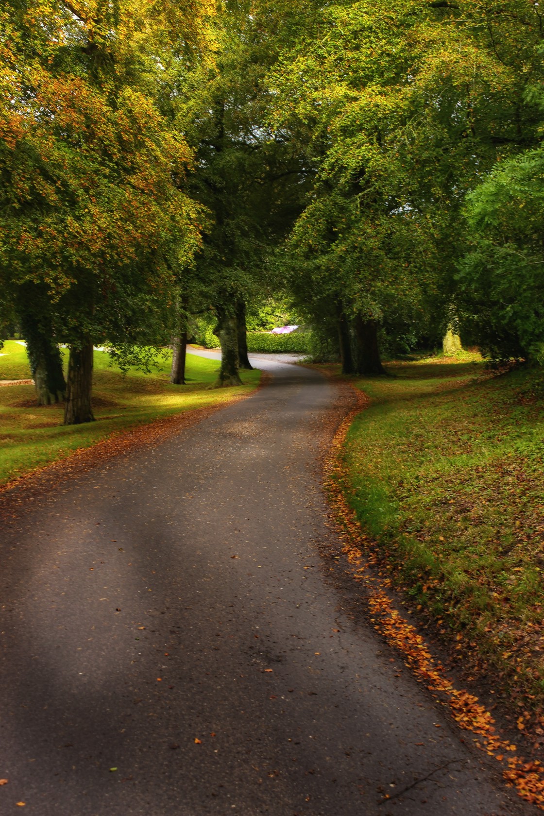 "Mount juliet" by KB Authentic Images - £15.00 "Mount juliet" stock image