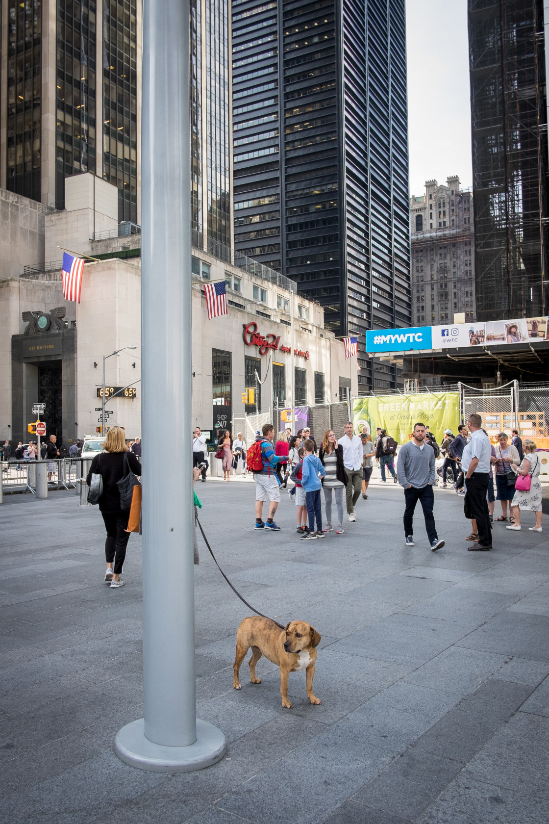 "Dog, World Trade Centre, New York." stock image