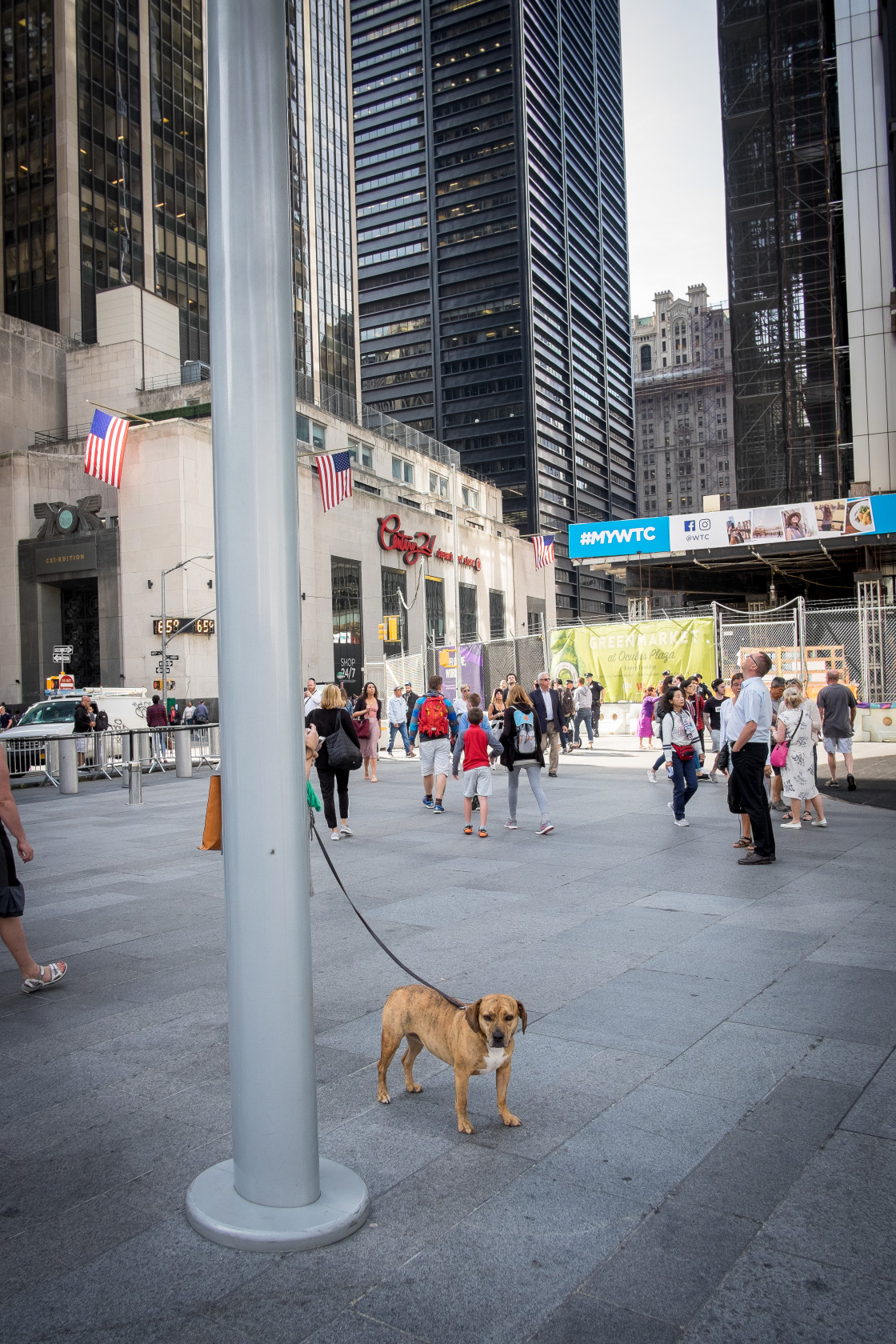 "Dog, World Trade Centre, New York." stock image