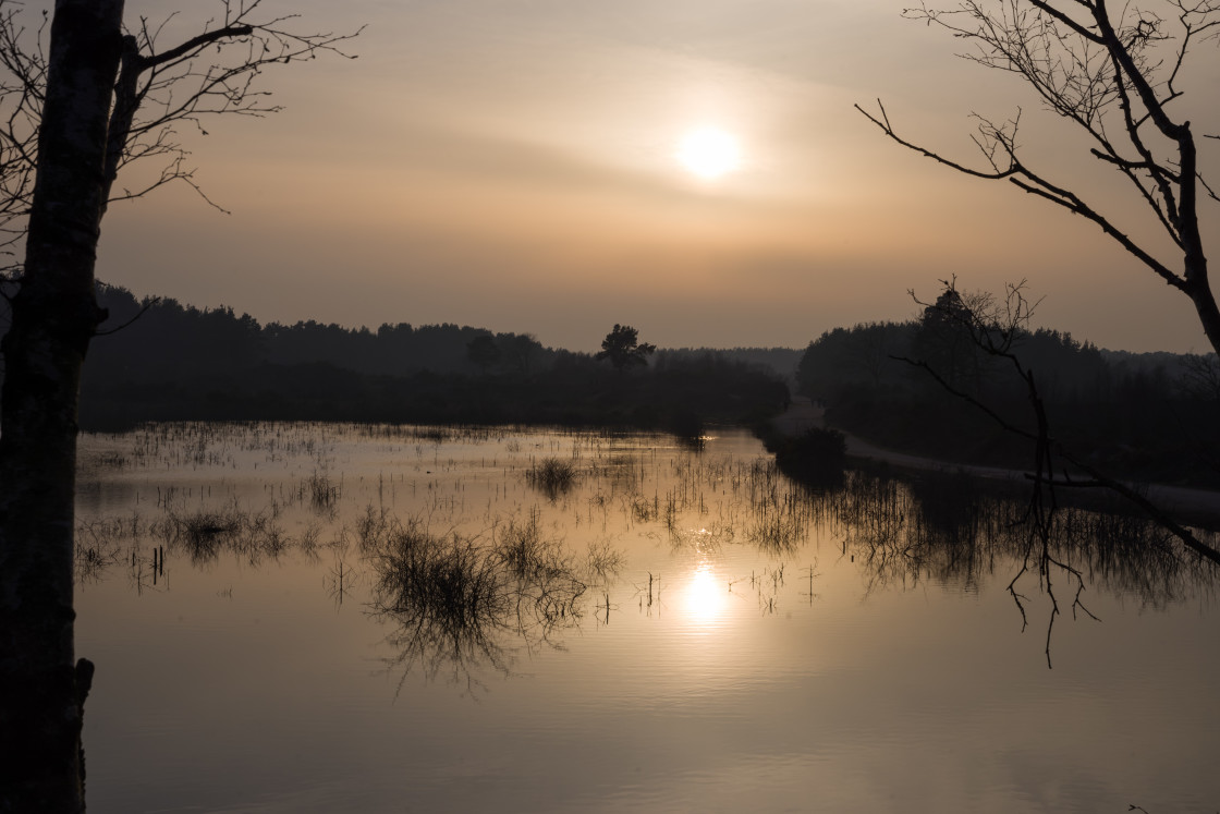 "Hazy Sun over Lake" stock image