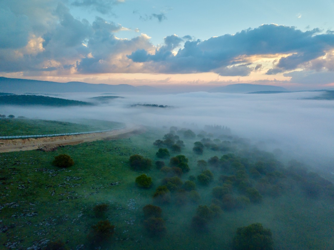 "Foggy morning.." stock image