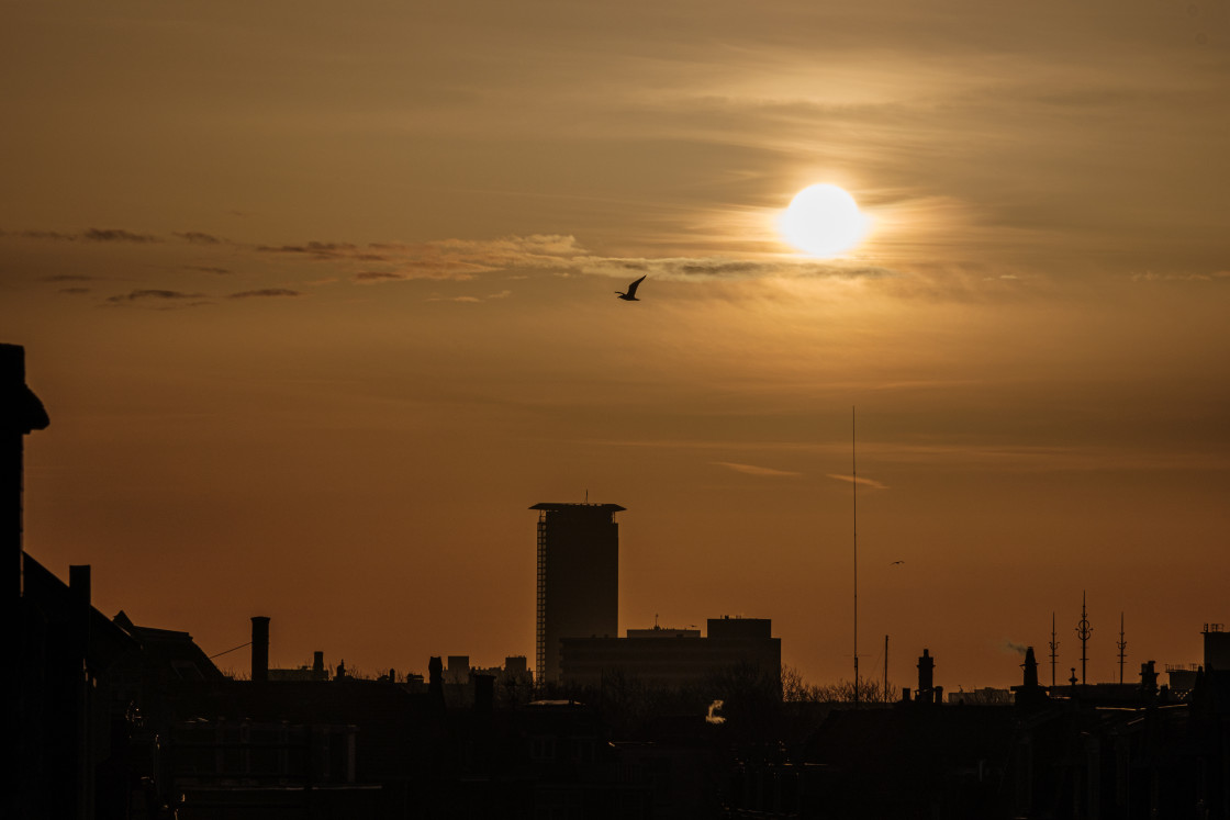 "Sunrise in The Hague" stock image