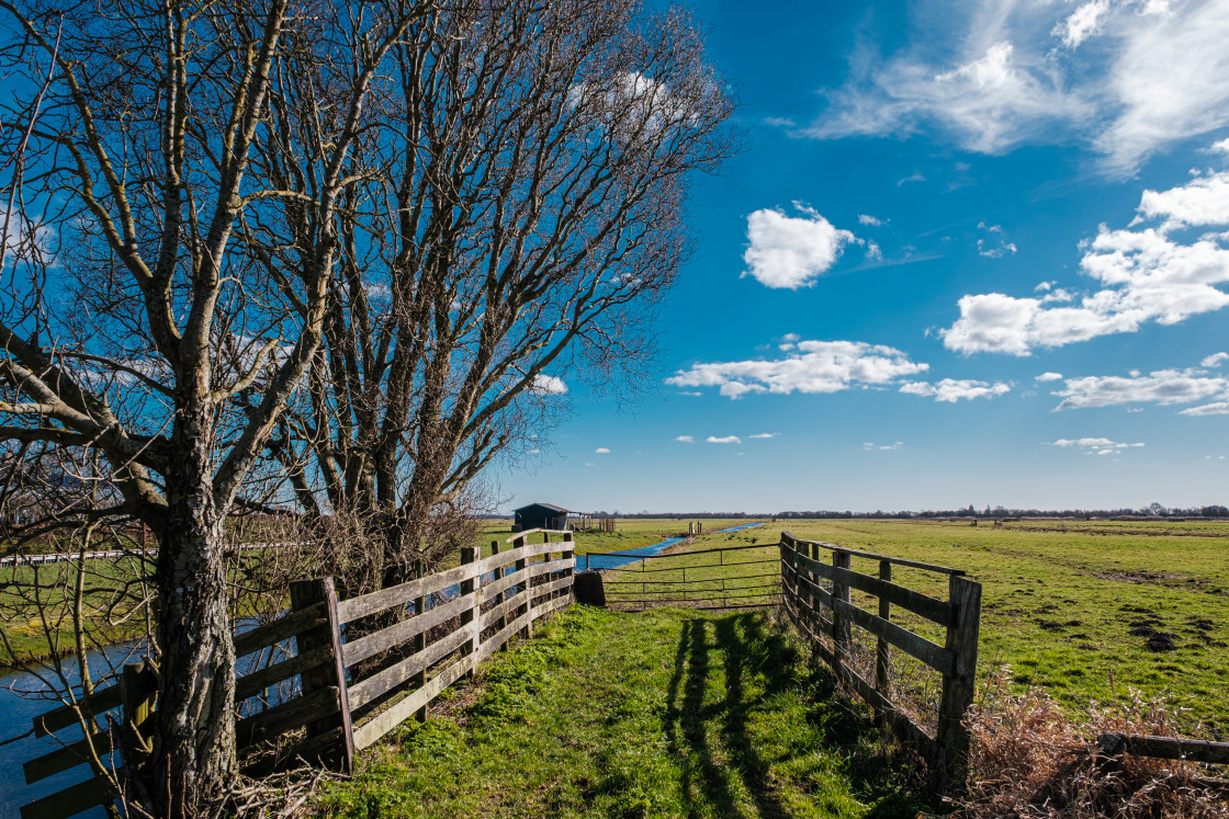 "Haastrecht" stock image