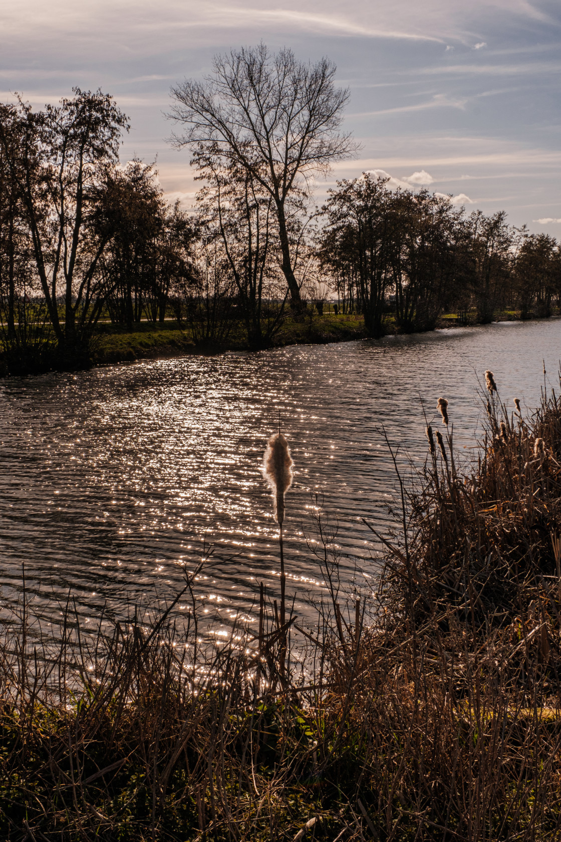 "Het Groene Hart" stock image