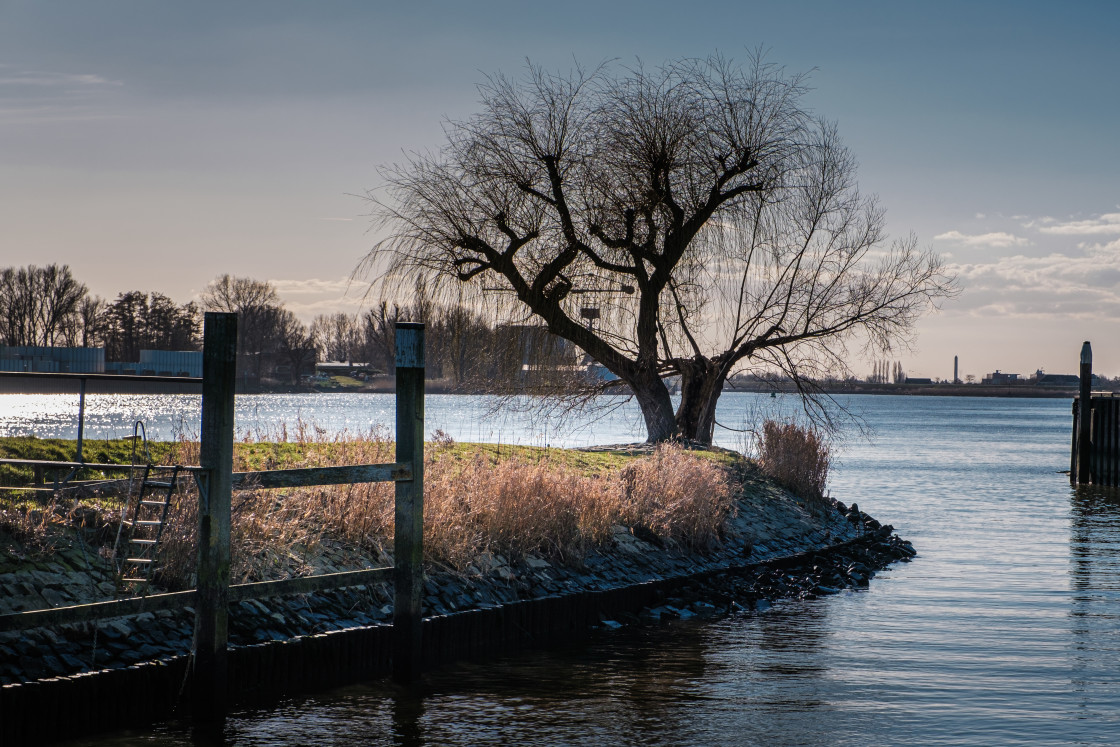 "Schoonhoven" stock image