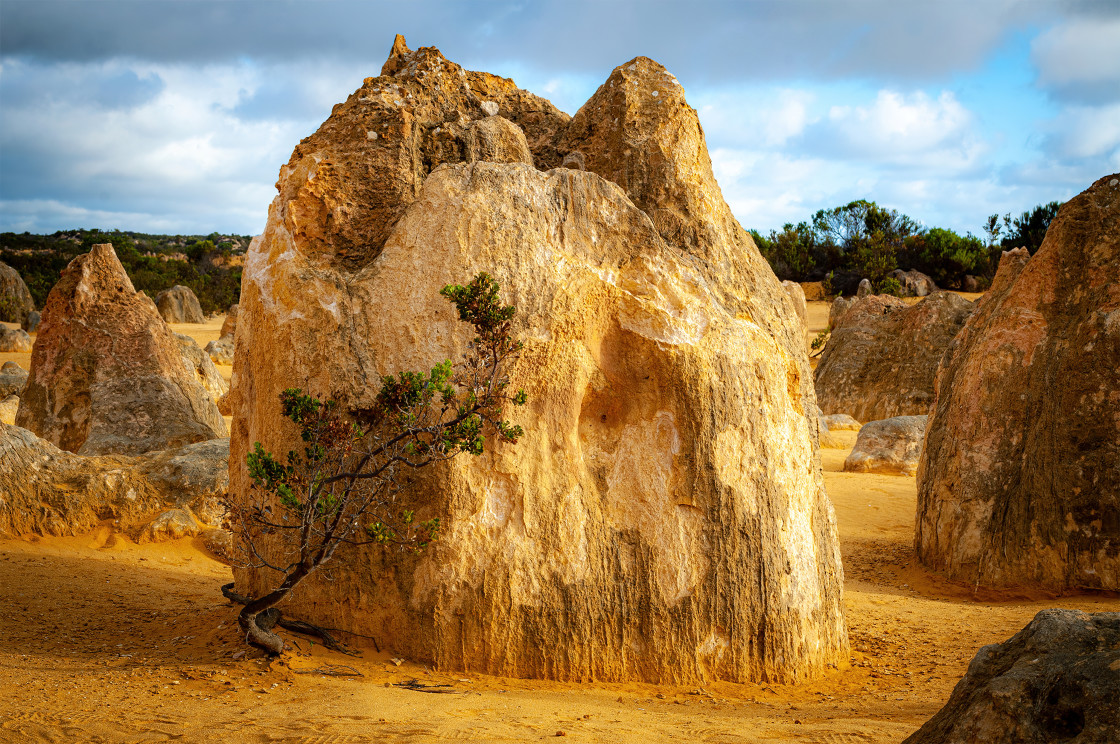 "Pinnacles Formation" stock image