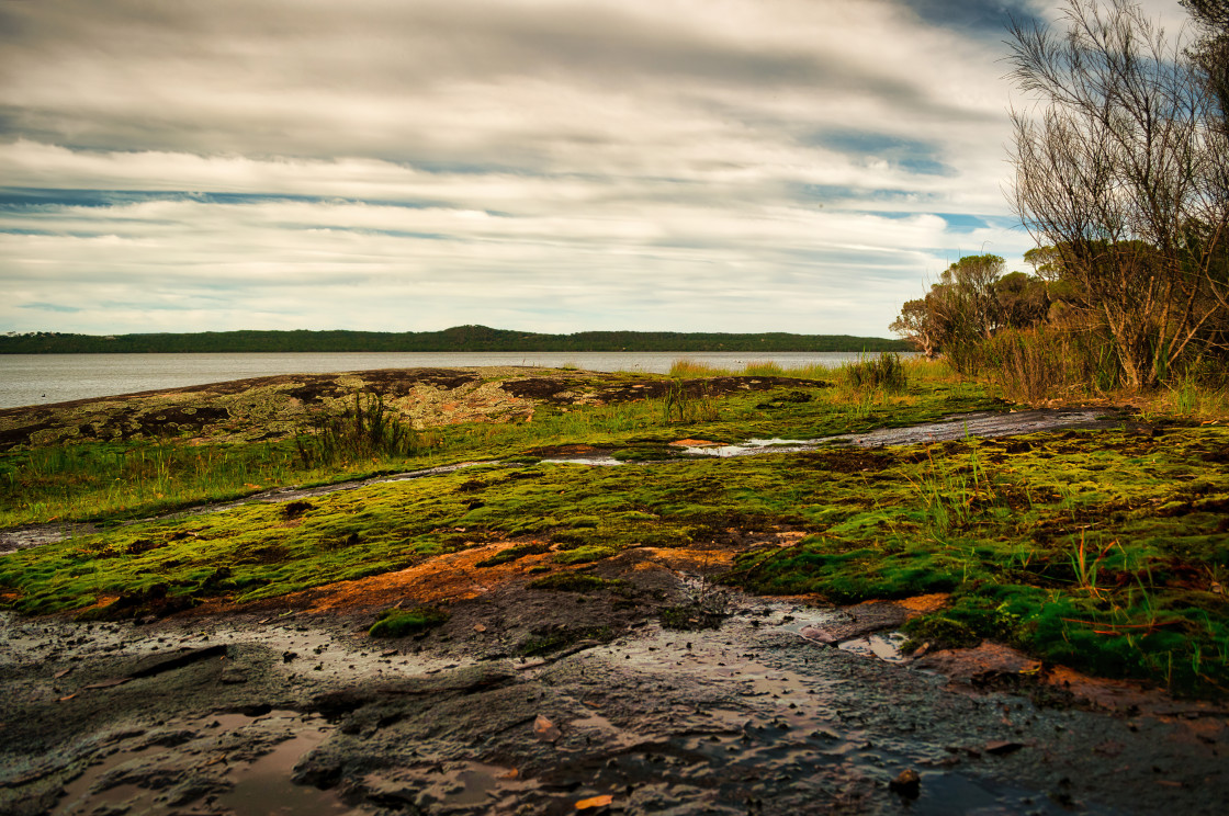 "Wilson's Inlet" stock image