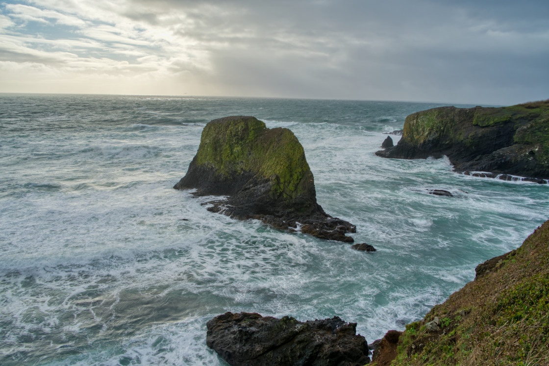 "Oregon Coast" stock image