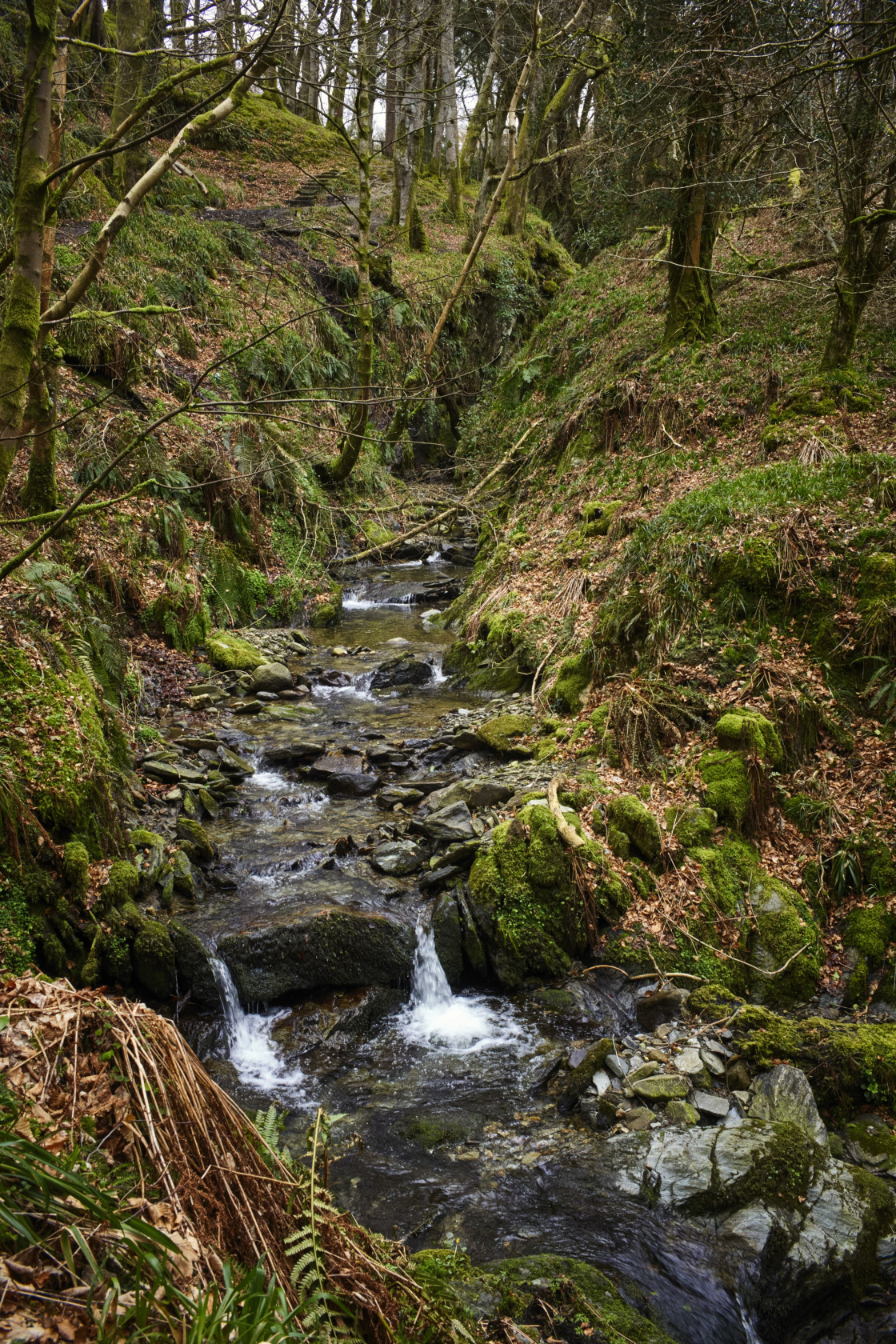 "Stream at Dhoon Glen" stock image