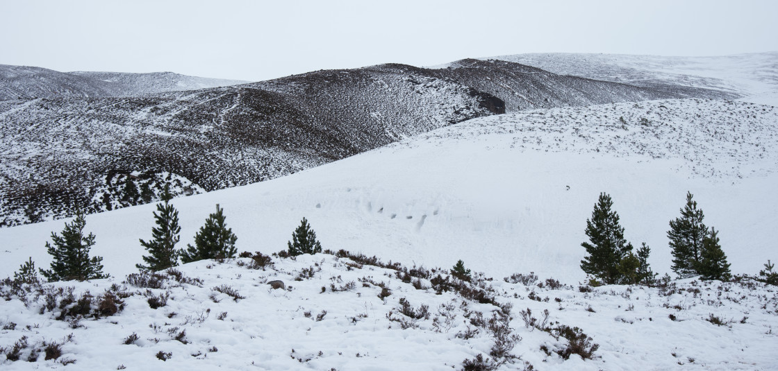 "The slopes of Cairngorm Mountain" stock image