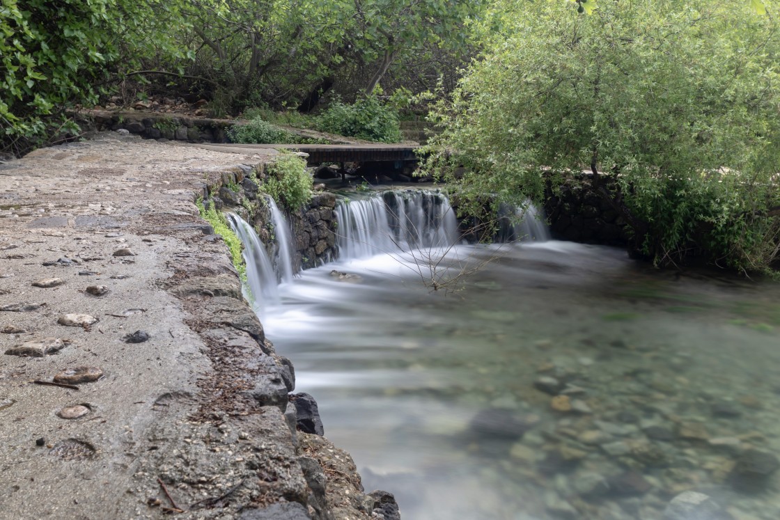 "In the Banias" stock image